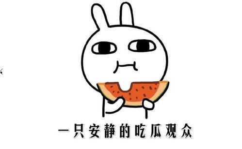 吃瓜新闻是新闻吗